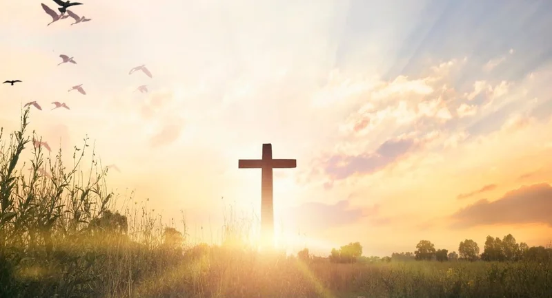 Cross-Border Evolution: AI, Data, and the New Global Value – What Reddit is Saying