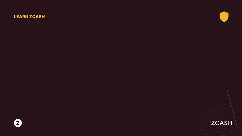 Zcash's Unexpected Rise: What's Fueling the Surge and What's Next?